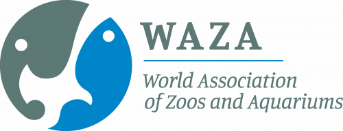 GVZOO news