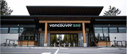 GVZOO news