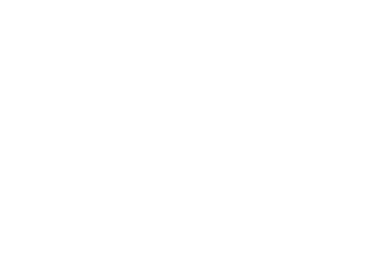 ZooLights at GVZoo
