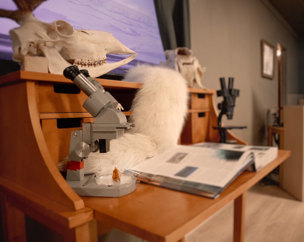 Arctic Research Centre